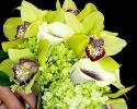 Beautiful in all green and a touch of burgundy.  Hydrangea, Cymbidium Orchids, and Mini Calla Lilies make for such a dramatic bouquet.